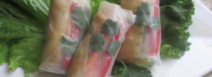 GF Spring Rolls - Chef Janet K